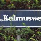 hi_kalmusweg--20200729-404259