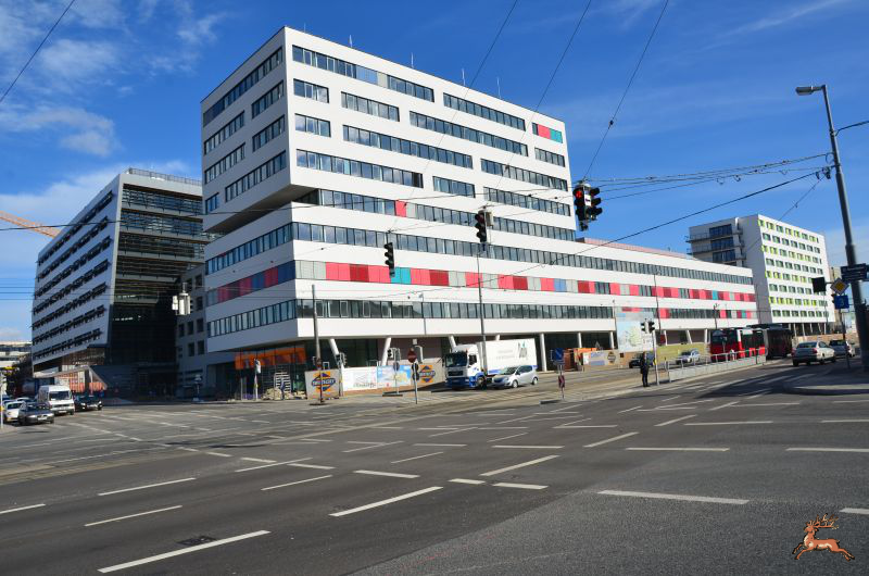singlewohnung wien kaufen singlewohnung wien kaufen