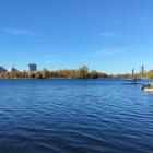 donau_alte--20251029_1336-0014