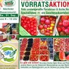 ganger-newsletter-august-2018