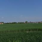 hi_berresgasse_feld--20190519-500968