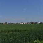 hi_berresgasse_feld--20190519-500969