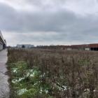 hi_dzh--20251124_1039-0010