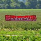 hi_erdbeerwelt--20200807-405042