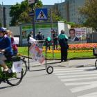 hi_maibaum--20140427-123a