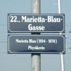 hi_marietta-blau-gasse-t01-20060929