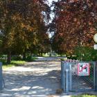 hi_res--20250501_0837-1471