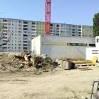 hi_schrebergasse--20260731_1709-0005
