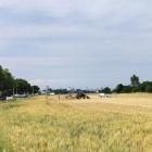hi_suessenbrunner_strasse--20260618_0918-0006x