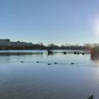 hi_teich--20251227_1437-0007