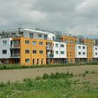 hi_wa-kraut-037-20090517