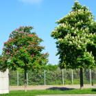 hi_ziegelhofstrasse--20250501_0833-1459