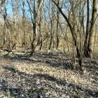 lobau--20260313_1533-0003