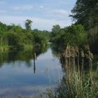 lobau-wiki_tokfo--20140525