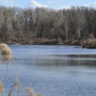 lobau_naherholung-krokotraene_wiki--20150303