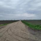 marchfeld--20210515_095403