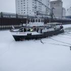 ms_eisvogel-david_bohmann_rk--20260113