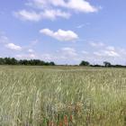 ostbahn--20240528_121724
