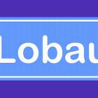 s80_lobau_schild