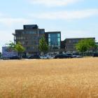 seestadt--20230707-400674