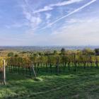 wien_bisamberg--20251020_1521-0001