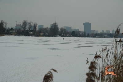 ../db_bilder/400/alte_donau--20120214-004.png