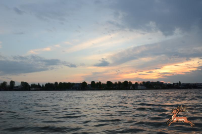 ../db_bilder/400/alte_donau--20160415-5568.png