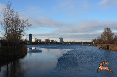 db_bilder/400/alte_donau--20201227-407784.png