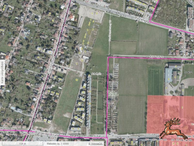 db_bilder/400/am_rain_flaechenwidmung_plan_8327_luft-vienna_gis_rk--20260130.png