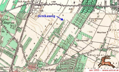 db_bilder/400/arnikaweg_plan--1955.png