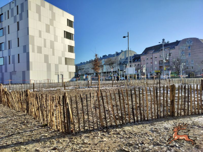db_bilder/400/as_langobardenstrasse--20240110_132236.png