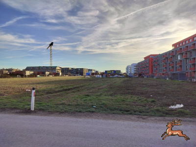 db_bilder/400/br_lackenjoechel--20231217_143030.png