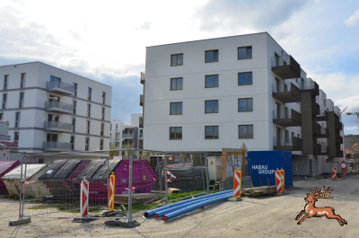 ../db_bilder/400/br_podhagskygasse--20240327_145707.png