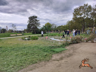 db_bilder/400/donau_alte_ba_park_heller--20251005_1438-0012.png