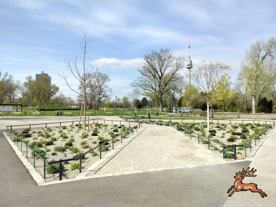 ../db_bilder/400/donaupark--20250409_1108-0024.png