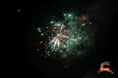 db_bilder/400/feuerwerk--20190101-B146.png