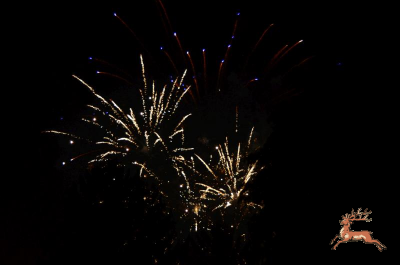 ../db_bilder/400/feuerwerk--20190101-B228.png