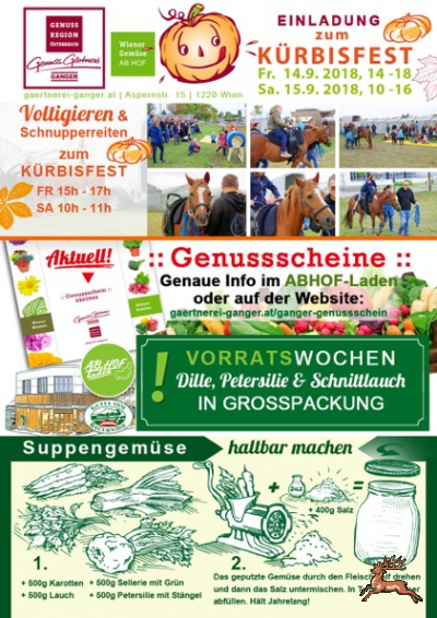 db_bilder/400/ganger-newsletter-september-2018.png