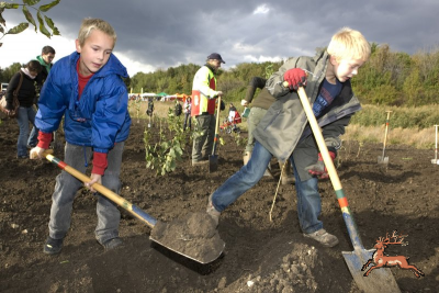 db_bilder/400/gemeinsam-baeume-pflanzen-beim-wald-der-jungen-wienerinnen-rk--20190923.png