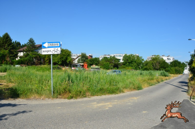 ../db_bilder/400/hi_anfanggasse--20250706_0814-2844.png