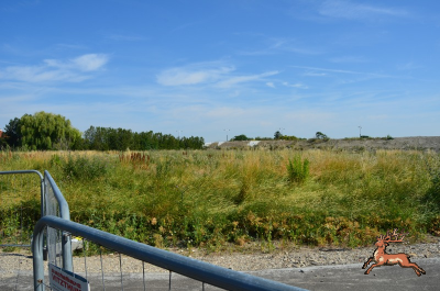 db_bilder/400/hi_anfanggasse--20250706_0814-2849.png