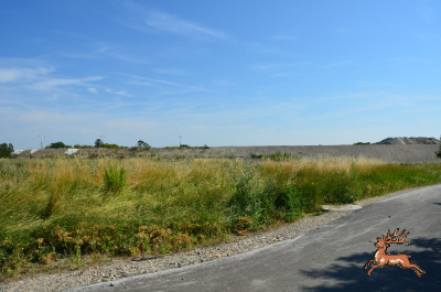 db_bilder/400/hi_anfanggasse--20250706_0814-2851.png