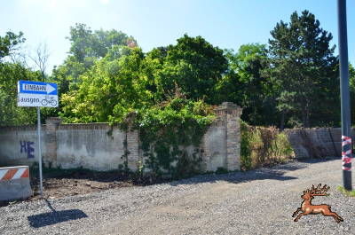 db_bilder/400/hi_anfanggasse--20250722_0911-3394.png