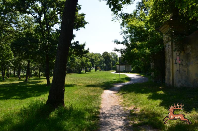 db_bilder/400/hi_anfanggasse-park--20150607-002.png