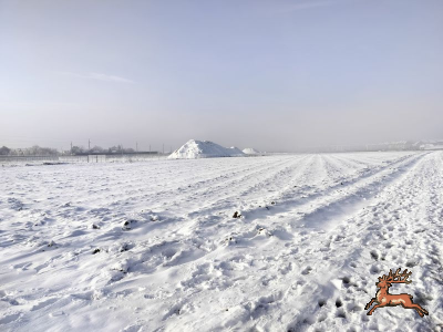 ../db_bilder/400/hi_bahnfeld--20231204_095159.png