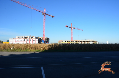 db_bilder/400/hi_berres--20201028-407203.png