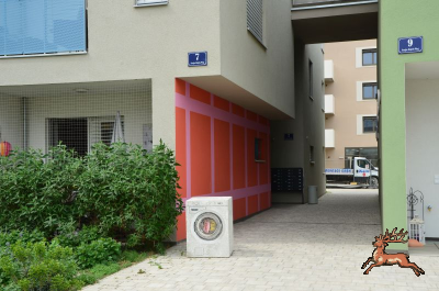 ../db_bilder/400/hi_berres--20240415_120638.png