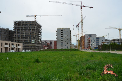 db_bilder/400/hi_berres--20240415_121627.png