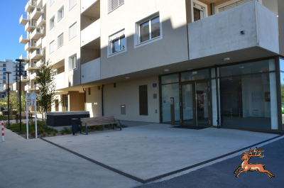../db_bilder/400/hi_berres--20240907_0911-6814.png