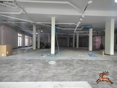 ../db_bilder/400/hi_berres--20241207_1438-0019.png
